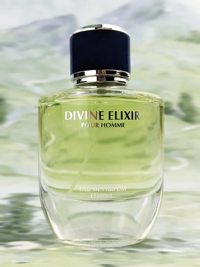 Парфюмерная вода для мужчин Divine Elixir Pour Homme, 100мл