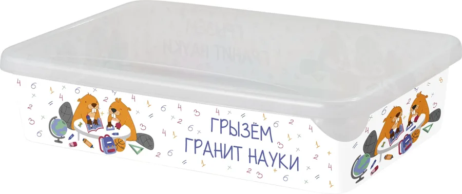 Лоток для мелочей Keeplex School с крышкой малый 20,4х14х5,2см