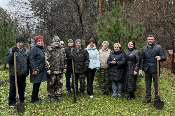 В Томске прошла экологическая акция по высадке кедров